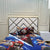 Cotton King Bed Sheet - Sonic