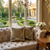 Velvet Cushion Pack Of 2 (CSH-209)