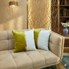 Velvet Cushion Pack Of 2 (CSH-216)