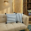 Velvet Cushion Pack Of 2 (CSH-218)