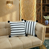 Velvet Cushion Pack Of 2 (CSH-218)