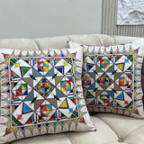 Velvet Cushion Pack Of 2 (CSH-202)
