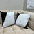 Velvet Cushion Pack Of 2 (CSH-209)