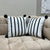 Velvet Cushion Pack Of 2 (CSH-222)