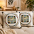 Velvet Cushion Pack Of 2 (CSH-222)
