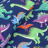 Dino Single Bed Set
