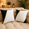 Velvet Cushion Pack Of 2 (CSH-203)