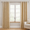 Plachi Curtain (Code: CRT-813)